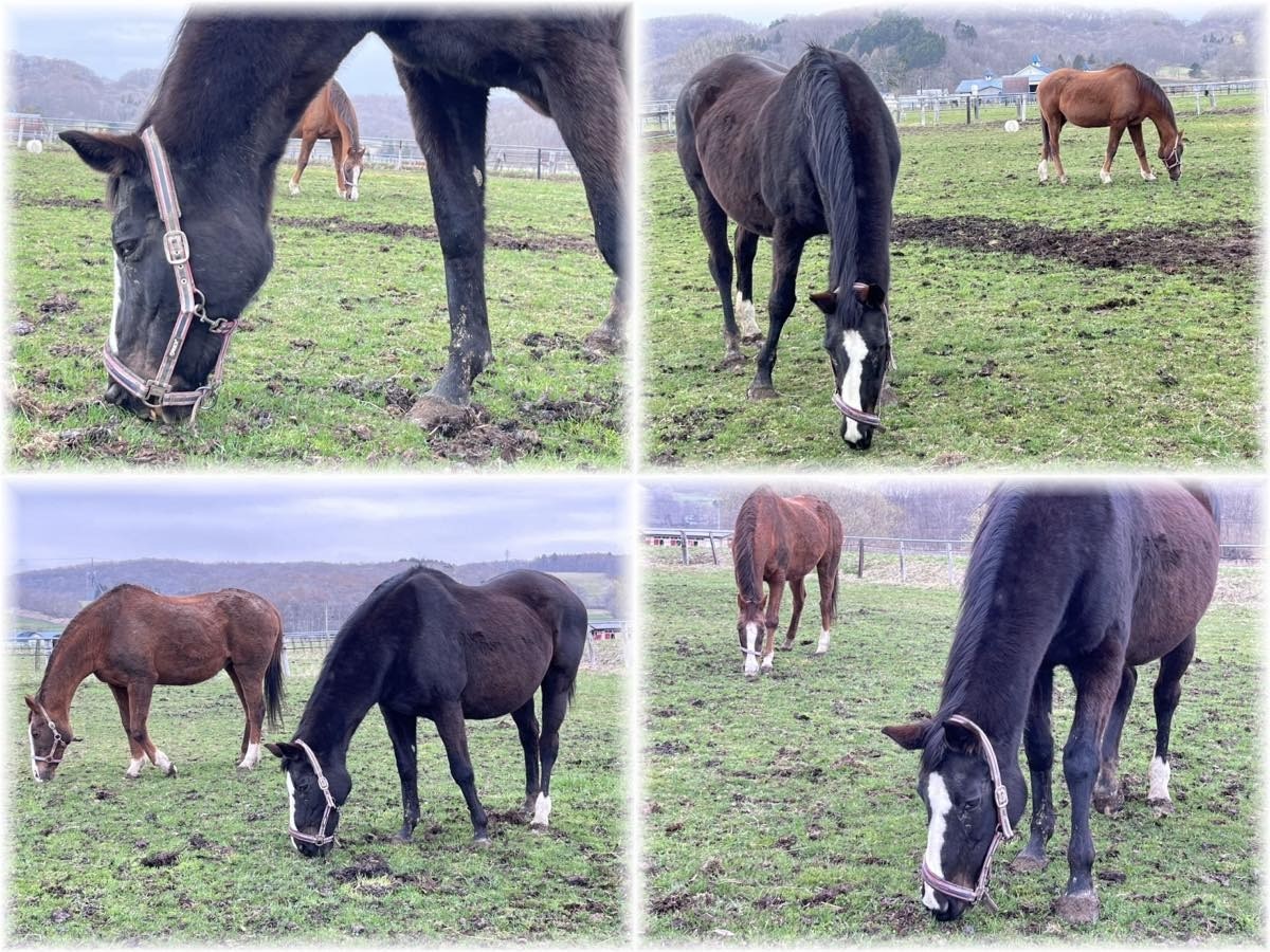 a132f7e2978d14926a59a28996ebebca-1776211486.jpg a132f7e2978d14926a59a28996ebebca-1776211486.jpg